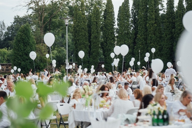 Baltais pikniks šovasar aizvadīts Siguldas pils parkā 304833