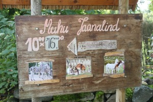 Travelnews.lv apciemo strausu fermu «Muhu jaanalinnufarm» un iepazīst arī zebras, ķengurus un Alpakas 31