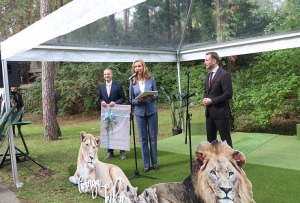 Rīgas Nacionālais zooloģiskais dārzs krusta mazos lauvēnus - «Varis» un «Teika» 27
