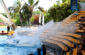 Travelnews.lv iepazīst pasaulslaveno «Loro parku» Tenerifē, kurā mīt ūdens un sauszemes dzīvnieki 4