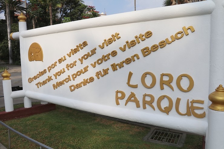 Travelnews.lv iepazīst Tenerifes «Loro parku», kas ir dibināts 1972.gadā 308584