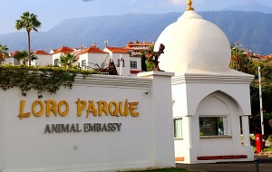 Travelnews.lv iepazīst Tenerifes «Loro parku», kas ir dibināts 1972.gadā 2