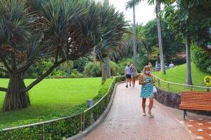 Travelnews.lv iepazīst Tenerifes «Loro parku», kas ir dibināts 1972.gadā 32