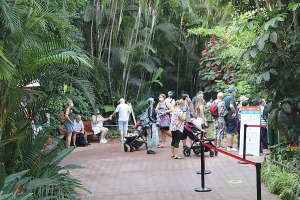 Travelnews.lv iepazīst Tenerifes «Loro parku», kas ir dibināts 1972.gadā 35