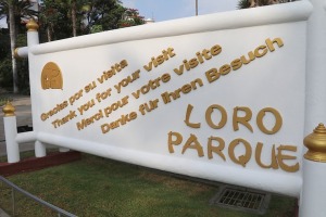 Travelnews.lv iepazīst Tenerifes «Loro parku», kas ir dibināts 1972.gadā 45