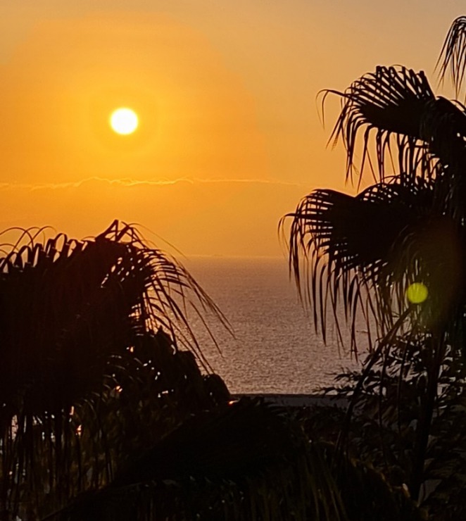 Travelnews.lv iepazīst romatisku Tenerifes viesnīcu «Hotel Vincci Selección La Plantación del Sur» 309385