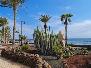 Travelnews.lv iepazīst Tenerifes kūrorta Adeje pludmali un promenādi 24