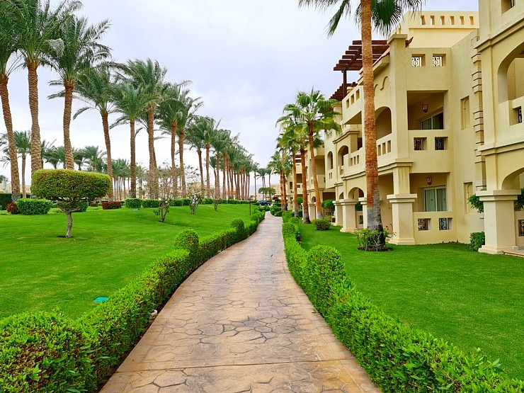Iepazīsti viesnīcas «Rixos Sharm El Sheikh Adult Friendly» numuru, ko izmantoja Travelnews.lv 310053