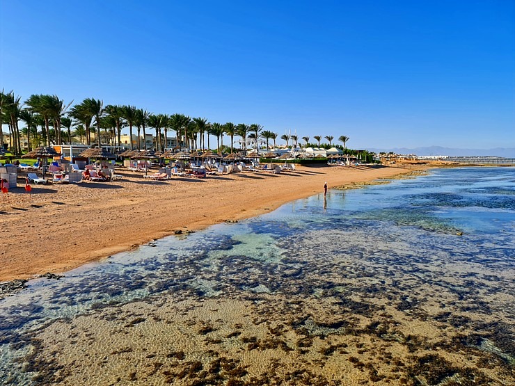 Šarm el Šeihas viesnīcas «Rixos Sharm El Sheikh Adult Friendly» piedāvā aktīvu pludmales dzīvi 310081