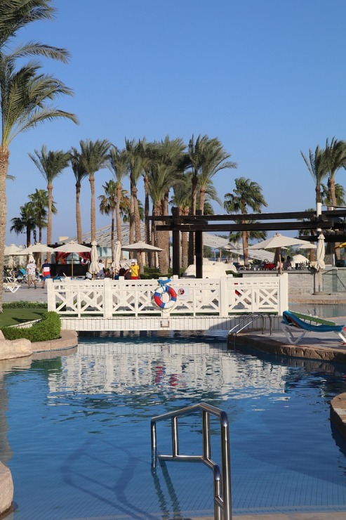 Dzīve pie baseina viesnīcā «Rixos Sharm El Sheikh Adult Friendly» 310359