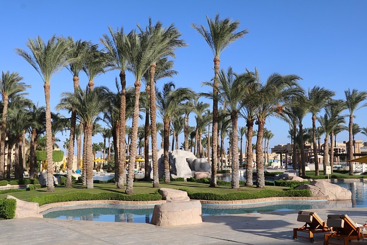 Dzīve pie baseina viesnīcā «Rixos Sharm El Sheikh Adult Friendly» 310360