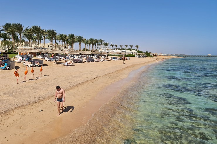 «Rixos Sharm El Sheikh Adult Friendly» pludmales dzīve piedāvā niršanu, kamieļus un... 310407