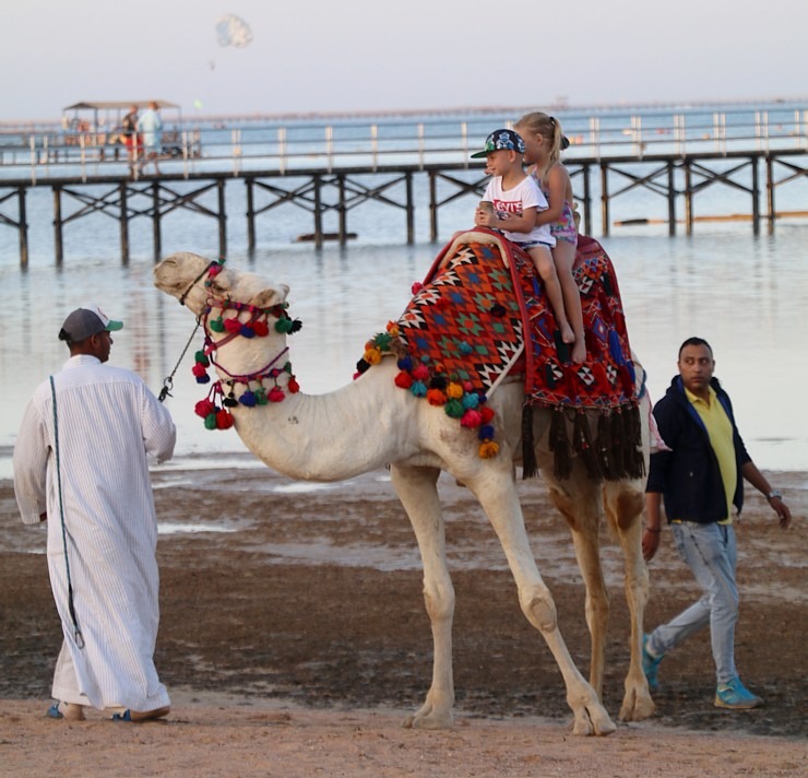 «Rixos Sharm El Sheikh Adult Friendly» pludmales dzīve piedāvā niršanu, kamieļus un... 310418