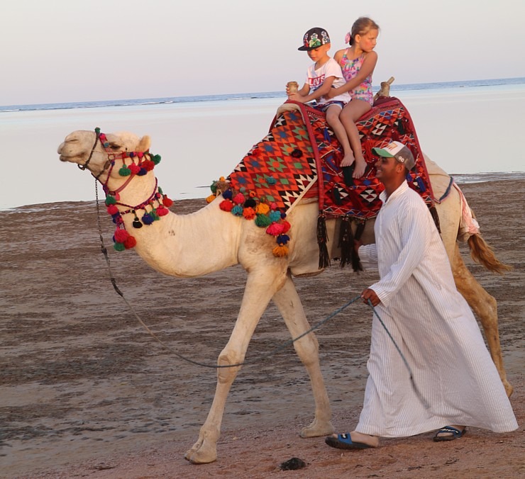 «Rixos Sharm El Sheikh Adult Friendly» pludmales dzīve piedāvā niršanu, kamieļus un... 310419