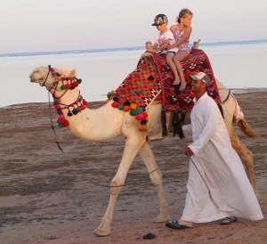 «Rixos Sharm El Sheikh Adult Friendly» pludmales dzīve piedāvā niršanu, kamieļus un... 22