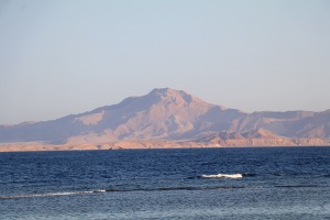 «Rixos Sharm El Sheikh Adult Friendly» pludmales dzīve piedāvā niršanu, kamieļus un... 5