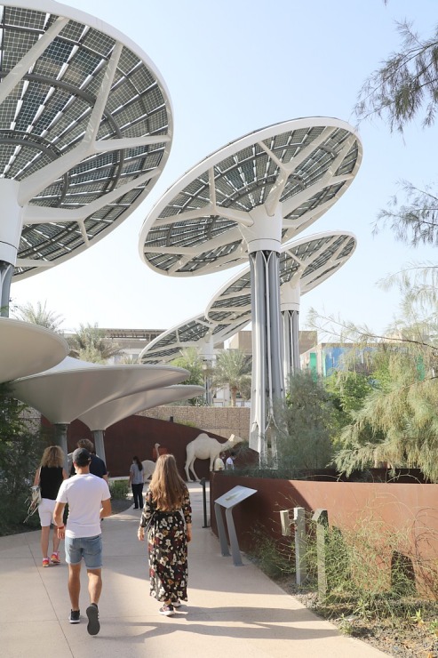 Travelnews.lv apmeklē izstādē «Expo 2020 Dubai» ilgtspējības paviljonu 311224