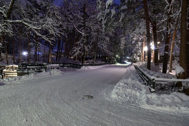 photo: Ziemas nakts pasaka Rīgas Zooloģiskajā dārzā