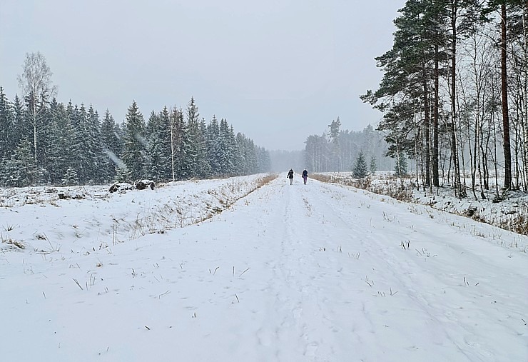 Travelnews.lv dodas 26 km pārgājienā Ložmetējkalna apkārtnē Jelgavas novadā 312994