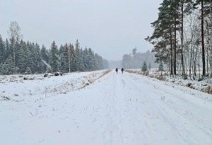 Travelnews.lv dodas 26 km pārgājienā Ložmetējkalna apkārtnē Jelgavas novadā 44