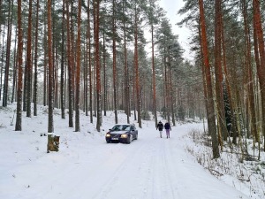 Travelnews.lv dodas 26 km pārgājienā Ložmetējkalna apkārtnē Jelgavas novadā 45