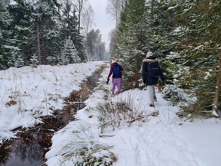 Travelnews.lv dodas 26 km «PostNos» pārgājienā Ložmetējkalna apkaimē 313024