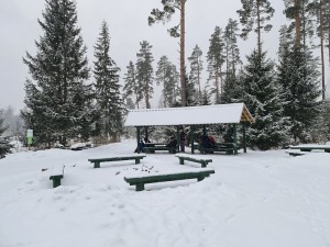 Travelnews.lv dodas 26 km «PostNos» pārgājienā Ložmetējkalna apkaimē 22