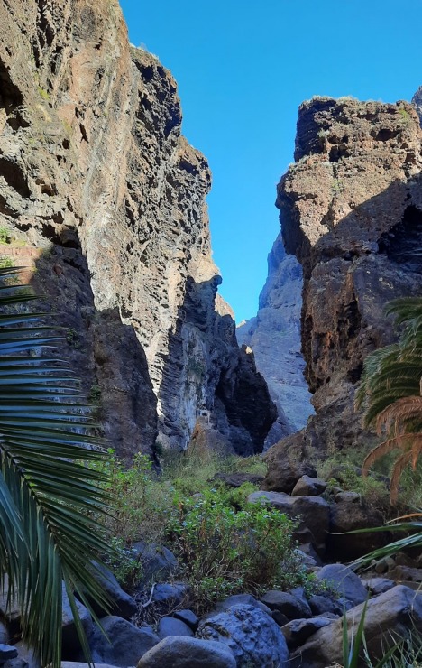 Latviešu ceļotāji dodas dabas pārgājienos Spānijas Tenerifes salā. Foto: Iveta Reiere 313353