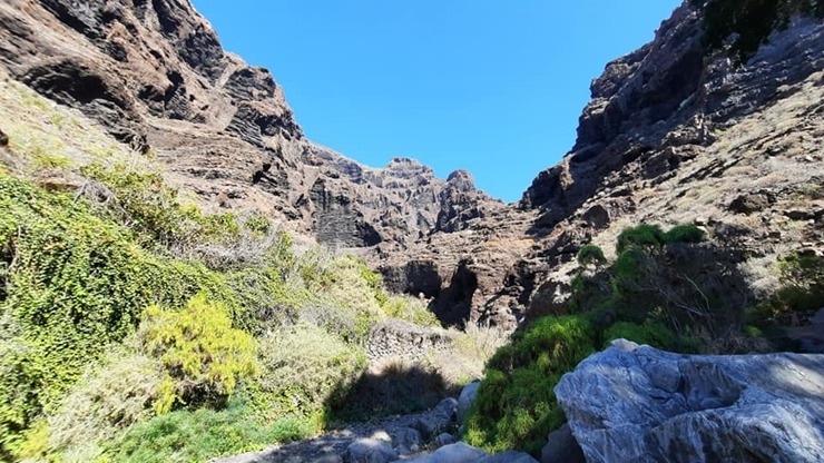 Latviešu ceļotāji dodas dabas pārgājienos Spānijas Tenerifes salā. Foto: Iveta Reiere 313359