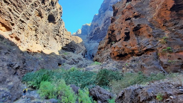 Latviešu ceļotāji dodas dabas pārgājienos Spānijas Tenerifes salā. Foto: Iveta Reiere 313349