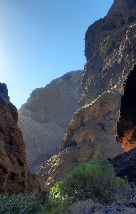 Latviešu ceļotāji dodas dabas pārgājienos Spānijas Tenerifes salā. Foto: Iveta Reiere 313352