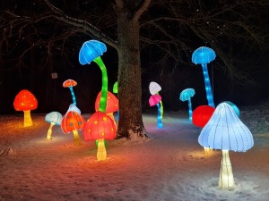 Siguldā kopš 4.02.2022 notiek grandiozs un ģimenisks gaismas festivāls «Brīnumzemē» 41