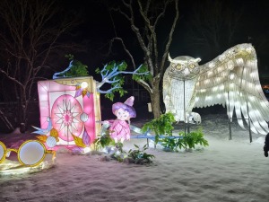 Siguldā kopš 4.02.2022 notiek grandiozs un ģimenisks gaismas festivāls «Brīnumzemē» 48