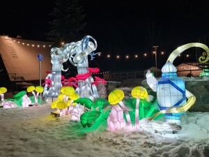 Siguldā kopš 4.02.2022 notiek grandiozs un ģimenisks gaismas festivāls «Brīnumzemē» 6