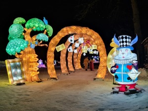 Siguldā kopš 4.02.2022 notiek grandiozs un ģimenisks gaismas festivāls «Brīnumzemē» 8