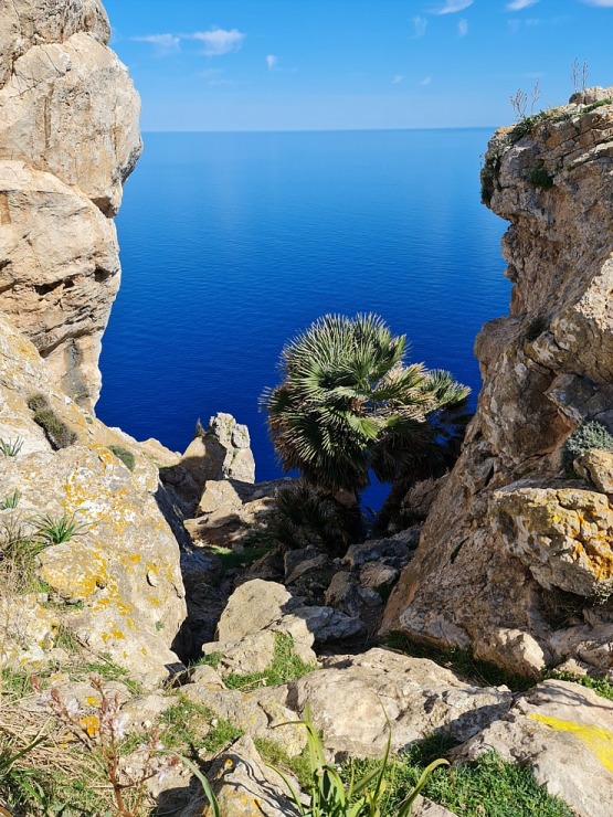 Travelnews.lv iepazīst burvīgus dabas skatus Maļorkas Formentora ragā. Sadarbībā ar tūrisma firmu «Atlantic Travel» 316614