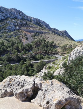 Travelnews.lv iepazīst burvīgus dabas skatus Maļorkas Formentora ragā. Sadarbībā ar tūrisma firmu «Atlantic Travel» 37