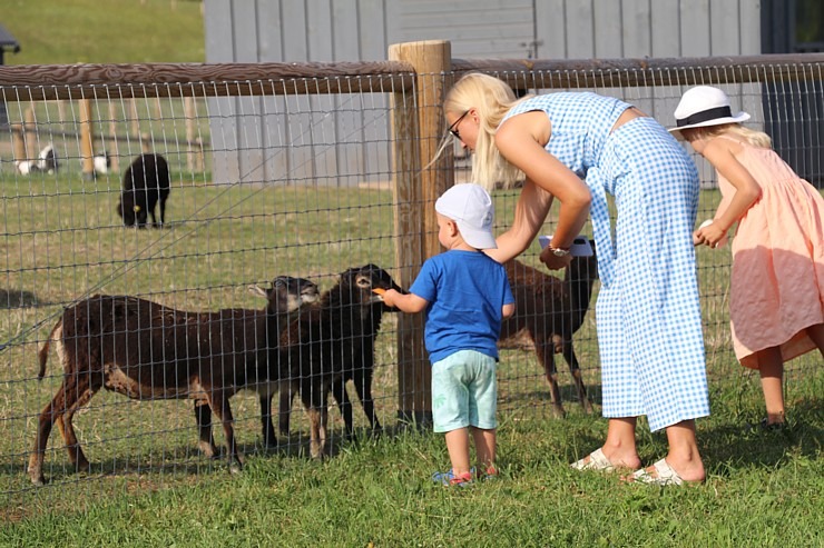 Sadarbībā ar «Avis Latvia» apciemojam jaunatklāto un bērnu sapni «Siguldas ZOO» 319493