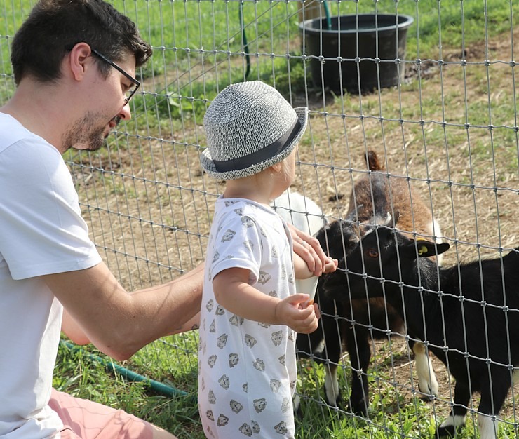 «Siguldas Zoo» piedāvā tiešu kontaktu starp apmeklētāju un dzīvnieku 319592