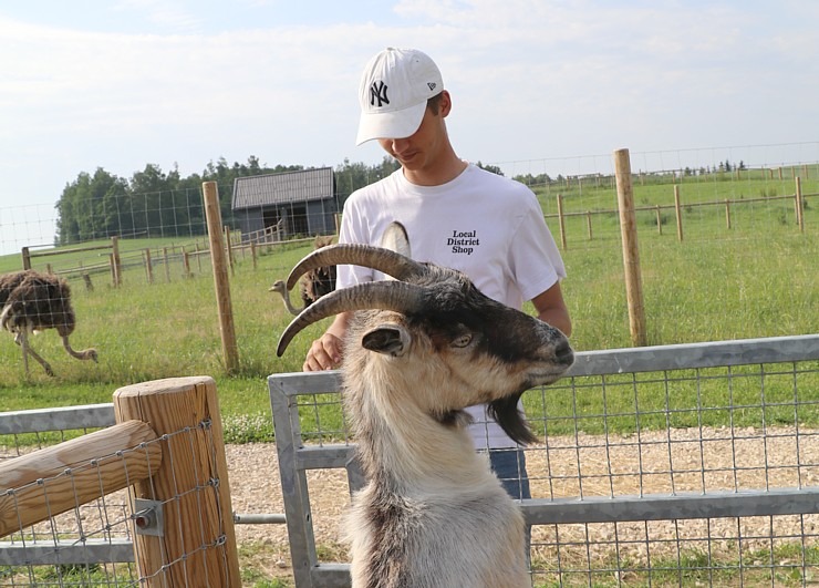 «Siguldas Zoo» piedāvā tiešu kontaktu starp apmeklētāju un dzīvnieku 319586
