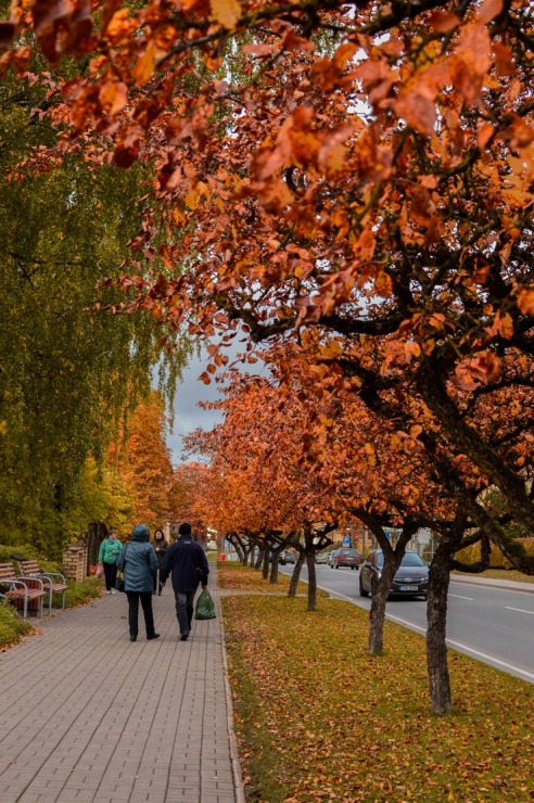 Alūksne gaida ciemos uz rudens pasaku 325018