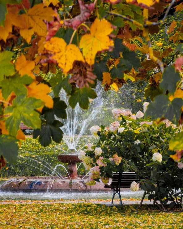 Alūksne gaida ciemos uz rudens pasaku.  Foto: Egons Lācis 324999