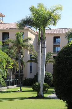 4 dienas iepazīstam Grankanāriju 5 zvaigžņu viesnīcu «Hotel Lopesan Costa Meloneras Resort & Spa». Sadarbībā ar Tez Tour un airBaltic 9