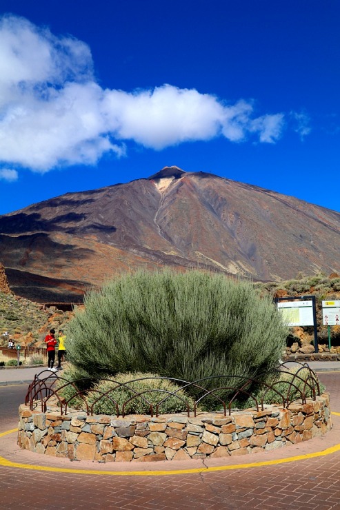 Travelnews.lv apmeklē Teides vulkāna piekāji Tenerifes salā. Sadarbībā ar Tez Tour un airBaltic 329319
