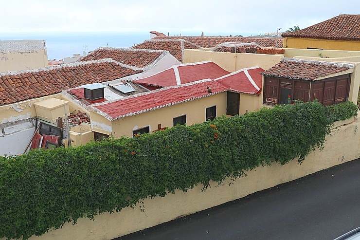 Apmeklējam Tenerifes pilsētiņu Icod de los Vinos, lai skatītu milzīgu pūķkoku Dracaena draco. Sadarbībā ar Tez Tour un airBaltic 329739