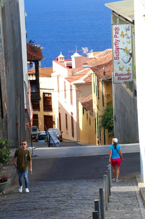 Apmeklējam Tenerifes pilsētiņu Icod de los Vinos, lai skatītu milzīgu pūķkoku Dracaena draco. Sadarbībā ar Tez Tour un airBaltic 329730