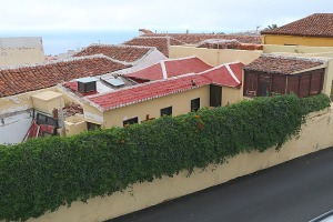 Apmeklējam Tenerifes pilsētiņu Icod de los Vinos, lai skatītu milzīgu pūķkoku Dracaena draco. Sadarbībā ar Tez Tour un airBaltic 16