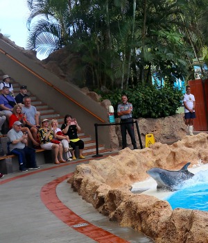 Travelnews.lv apmeklē delfīnu izrādi Tenerifes zooloģiskajā dārzā «Loro Parque». Sadarbībā ar Tez Tour un airBaltic 17