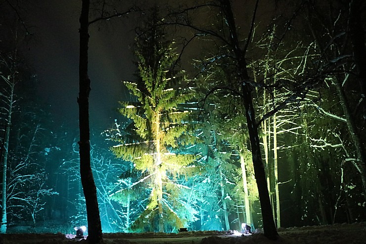 Latvijas Etnogrāfiskajā brīvdabas muzejā atklāts muzikāls «Ziemas gaismas dārzs» 330178