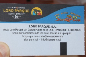 Tenerifes zooloģiskais dārzs «Loro Parque» tiek uzskatīts par labāko pasaulē. Sadarbībā ar Tez Tour un airBaltic 1